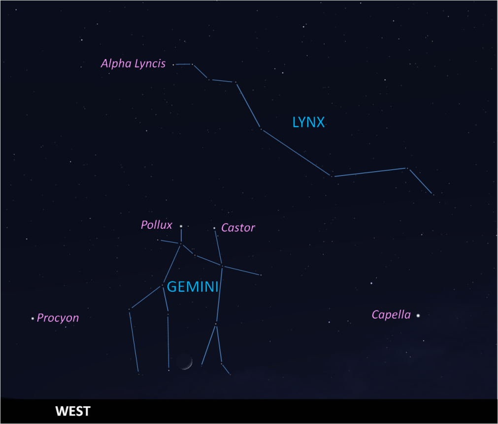Lynx in the west, late May
