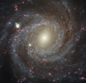 Hubble Space Telescope view of NGC 3344