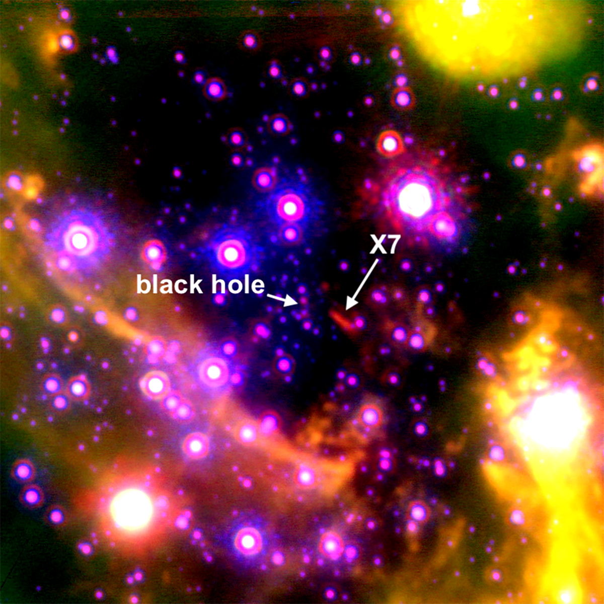 big gas cloud is stretched by the gravity of the milky way galaxy's central black hole