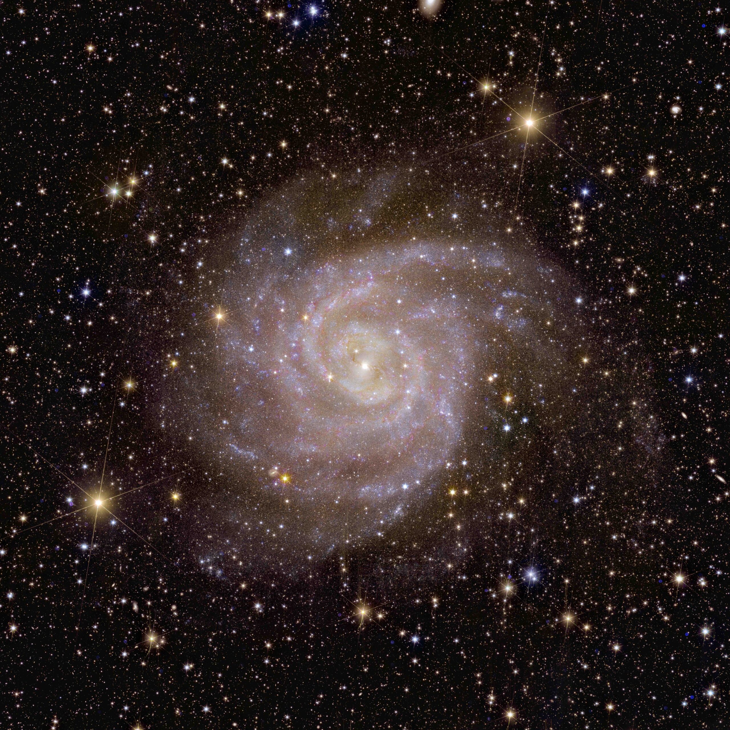 false-color infrared view of the spiral galaxy ic 342 from the Euclid space telescope